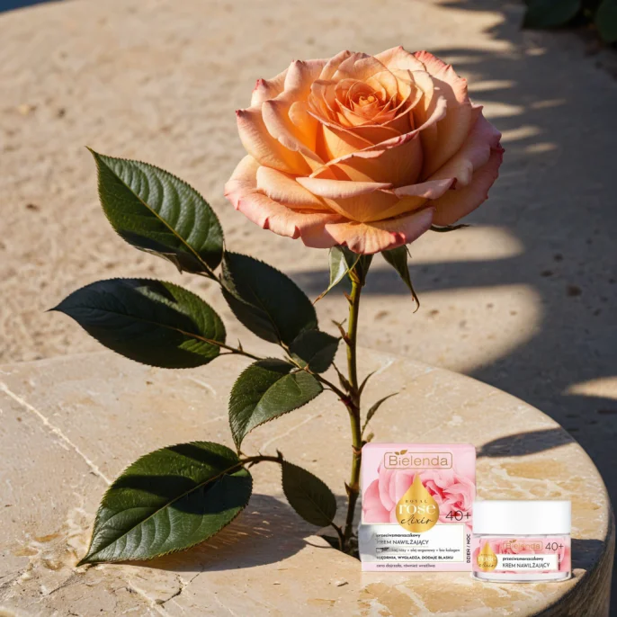 ee7bce78e4324c80c48c123b19ef2fa2