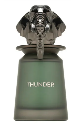 French Avenue Thunder 100ml Woda Perfumowana Dla Mężczyzn Perfumy Męskie