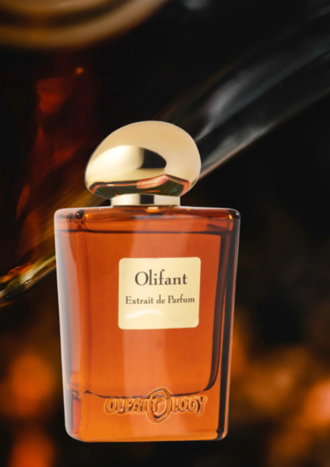 Olfattology Olifant River Extrait 100ml Ziemiste Perfumy Dla Mężczyzn