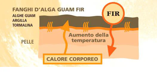 cffe0cf60e99813d558733dd7973ca03