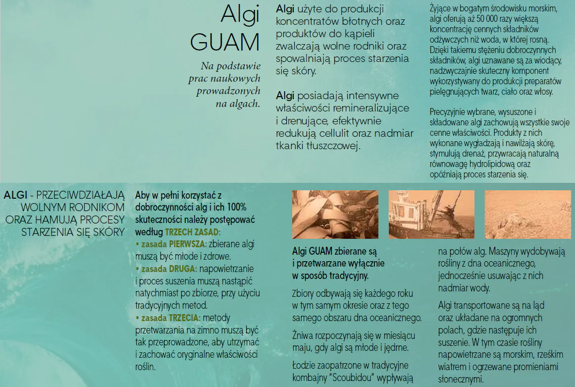 24323e677bac0dac71431dae48bdc1c8