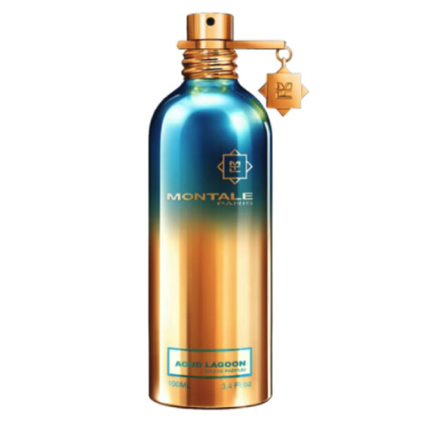 MONTALE AOUD LAGOON 100ML WODA PERFUMOWANA UNISEX DAMSKA MĘSKA