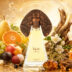 4a13a8a4b918fd4220a1ad4506e7ed2f
